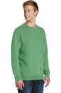 Essential Pigment-Dyed Crewneck Sweatshirt